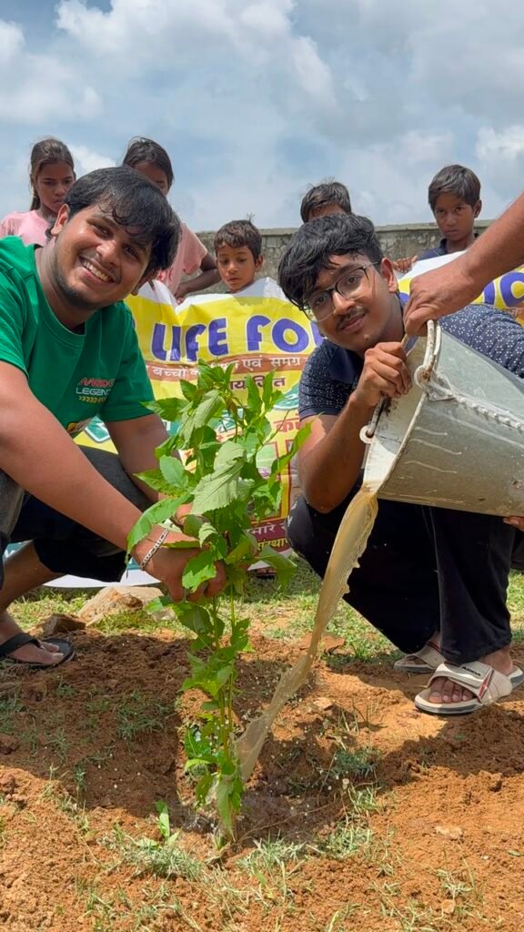 Plantation Drive