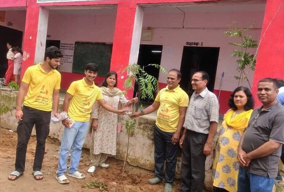 spreading greenery