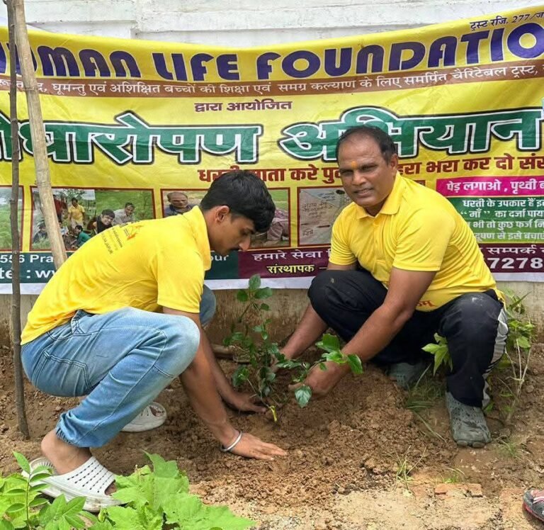 planting more and more trees