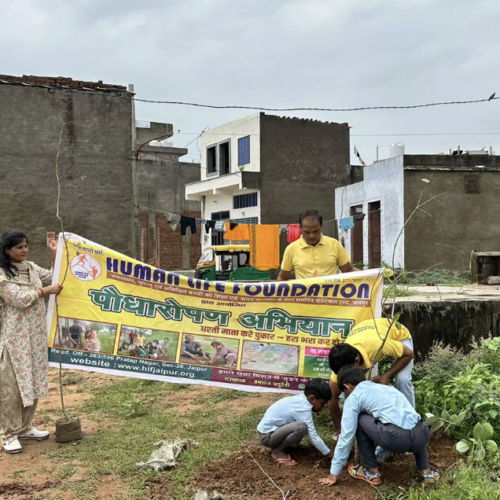 Third Plantation Drive – 111 Trees Bringing Life to Lakhesara Village, Jaipur