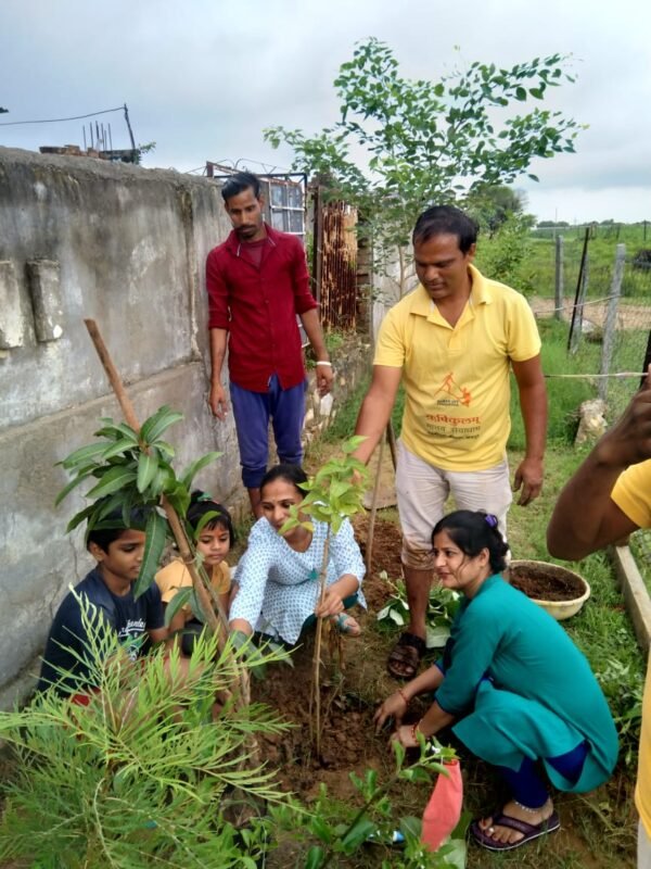 planting trees