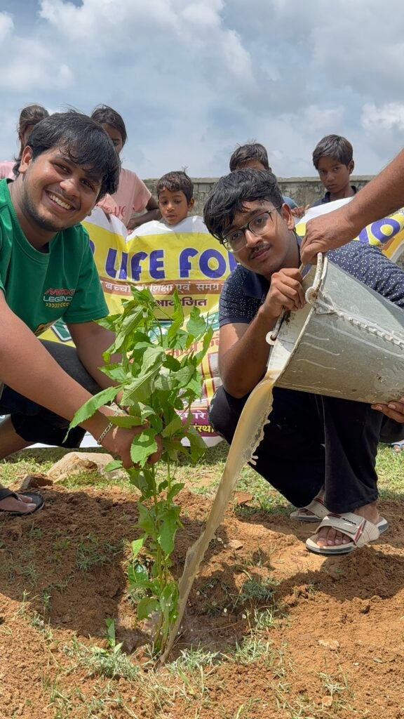 Plantation Drive