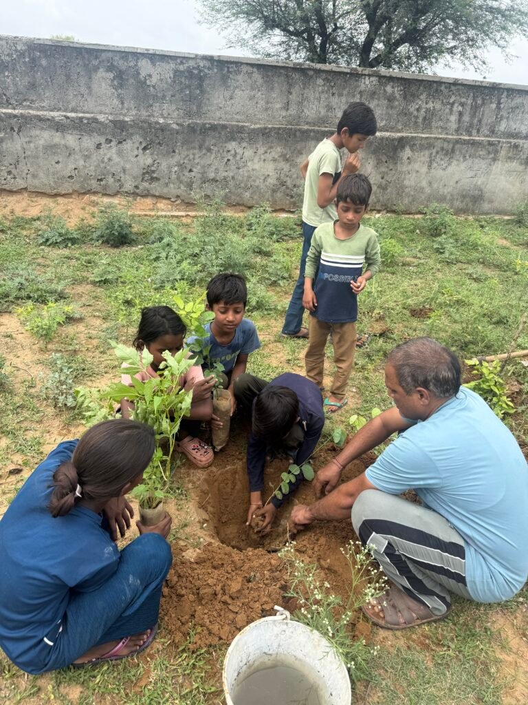 Plantation Drive