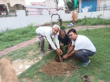 Plantation Drive