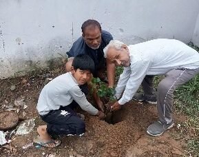 Plantation