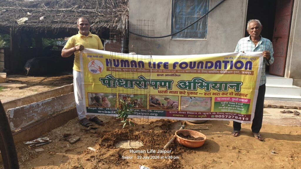 Plantation Drive