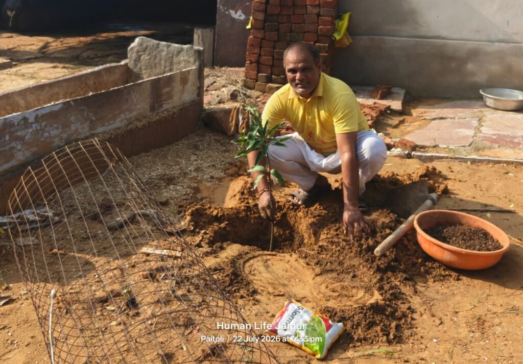 Plantation Drive