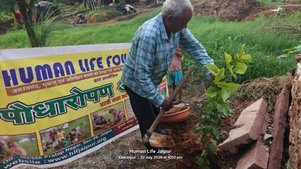 Plantation Drive