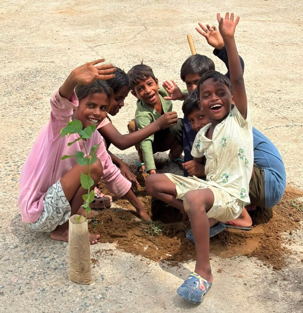 Plantation Drive