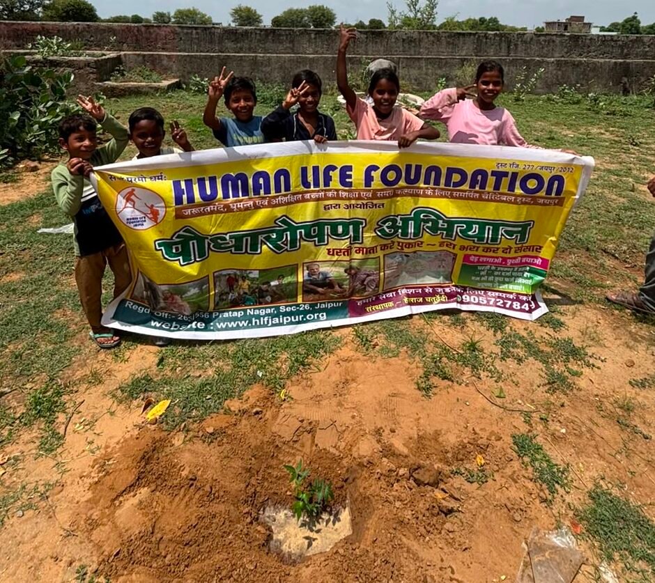 Plantation Drive