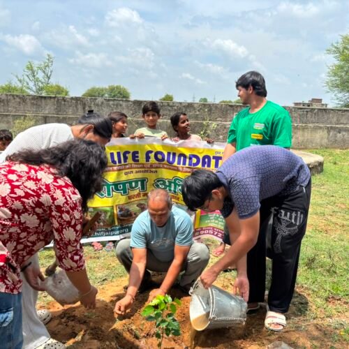 Greening Govt Primary School for better future