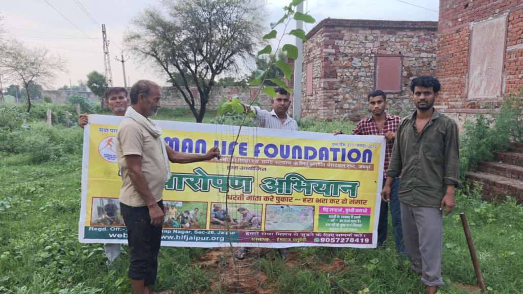 Plantation Drive