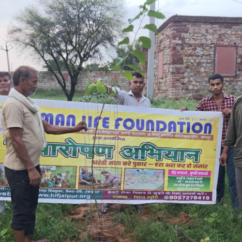 Plantation Drive at Village Keeratpura, Karauli