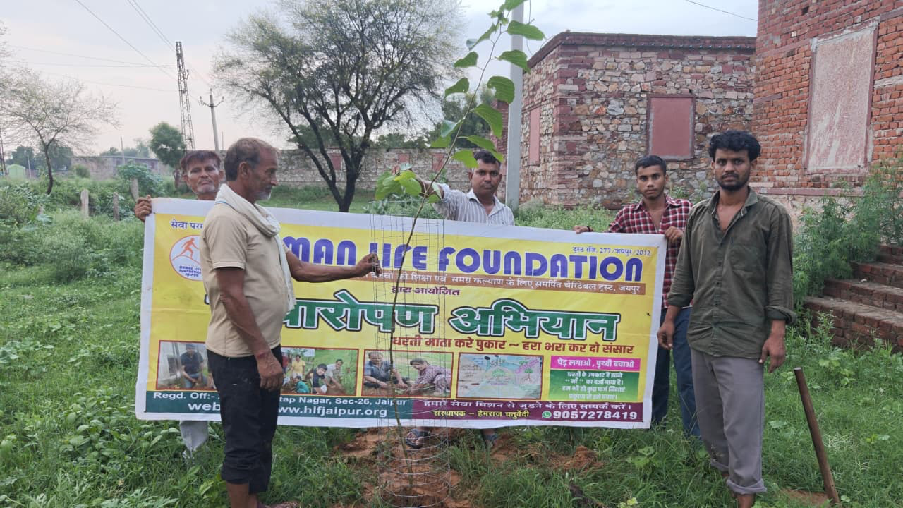 Plantation Drive