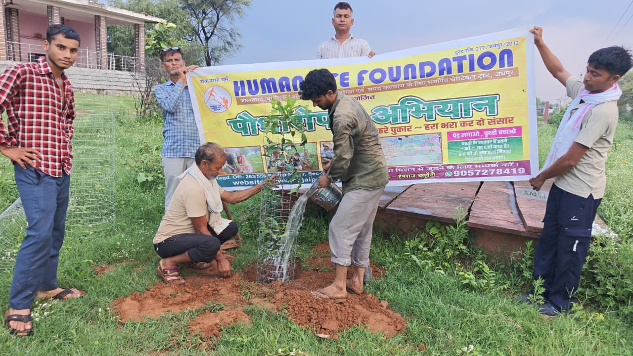 Plantation Drive