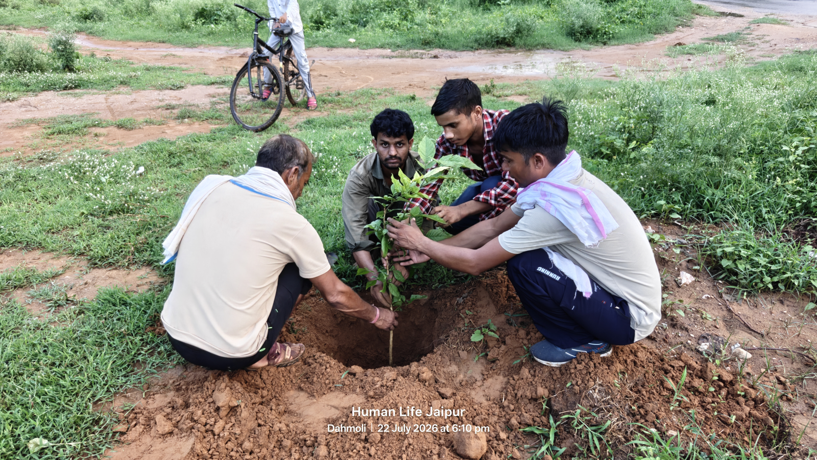 Plantation Drive