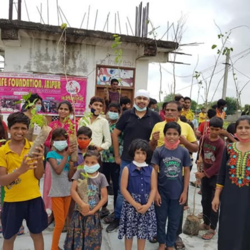 Giloy Plantation &  Health Awareness